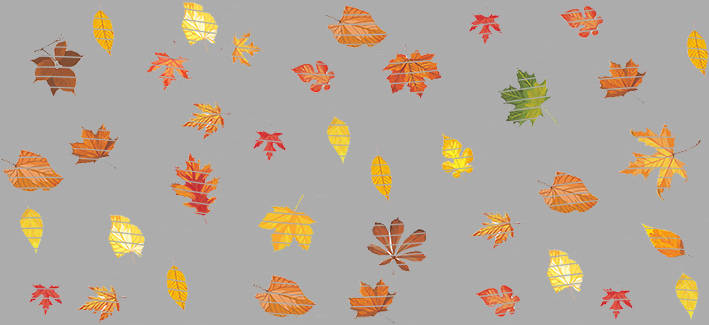 16oz Element-EN-1090